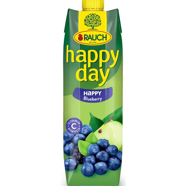Negazirani sok HAPPY DAY borovnica 1l